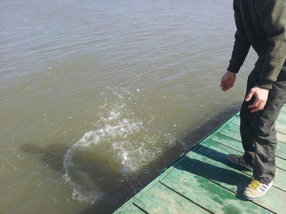 Moara Vlasiei 2 15 - 15 mar. - 19805766544528279358551400905789n.jpg